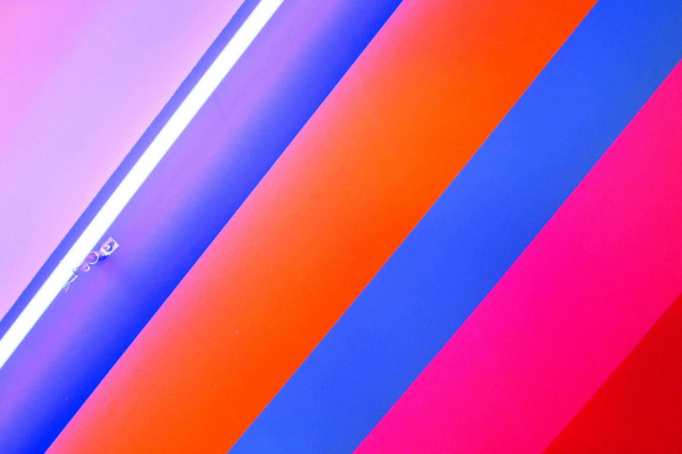 短剧出海，IP布局与风险应对该如何先行一步？