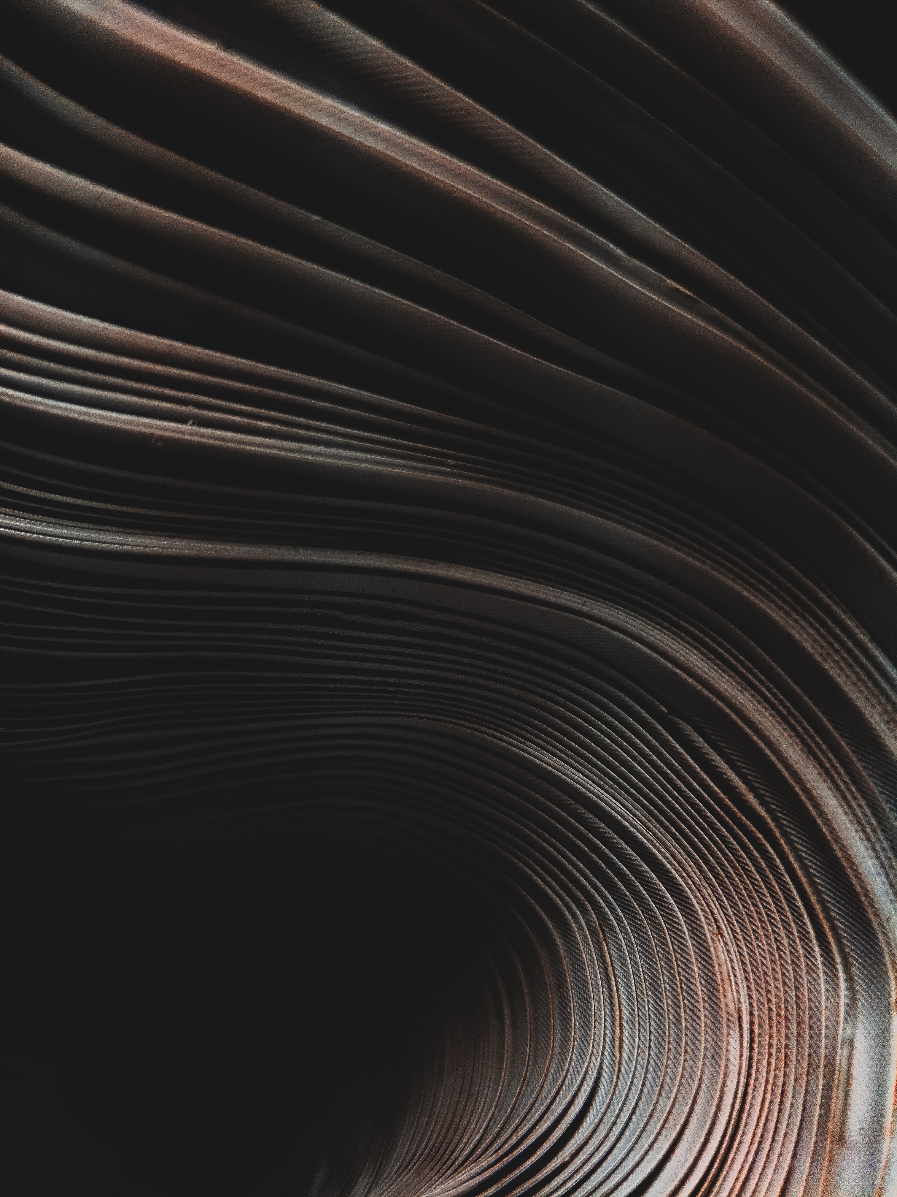 路盛蝉联Managing IP商标领域榜单, 蒋南頔、谯荣德、王姗、张再平获评“商标之星”